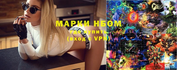 винт Аркадак