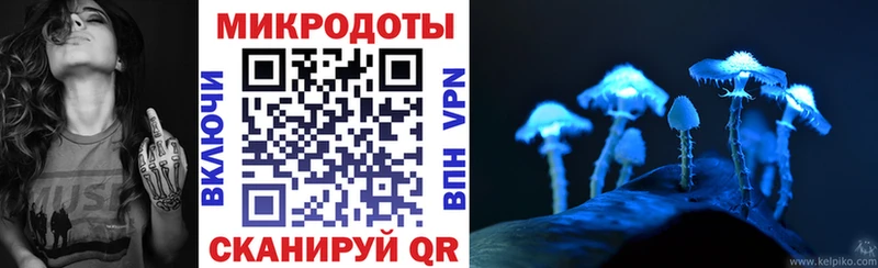 Галлюциногенные грибы мицелий даркнет сайт Гремячинск
