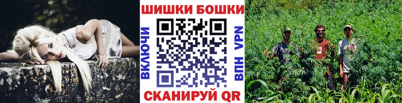 Каннабис план  продажа наркотиков  Гремячинск 